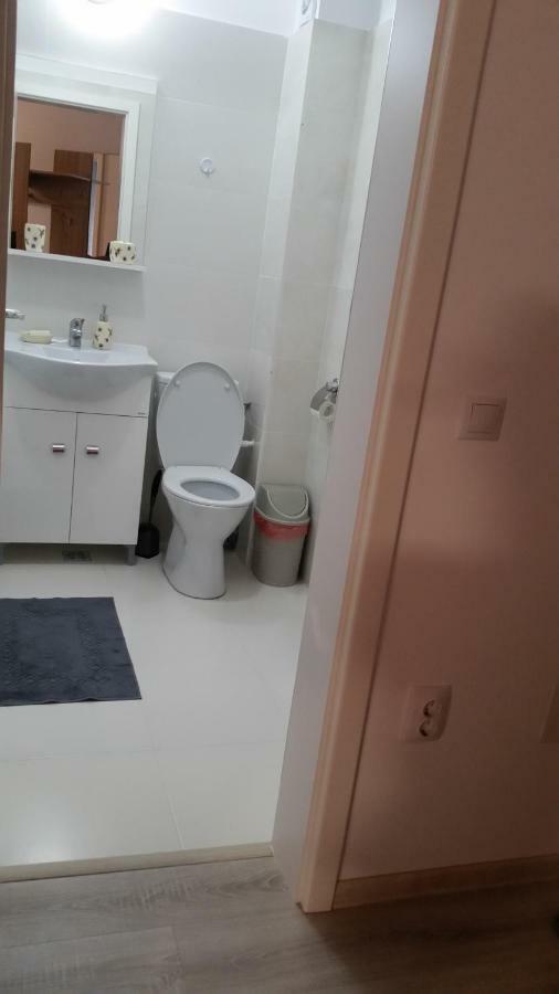 Kolonaki Domus Apartment ヤシ エクステリア 写真